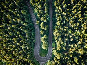 MySQL vs. MongoDB: What’s the Difference? | IBM