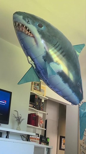Inflated Remote Control Shark Prank - Balloon Shark Chaos