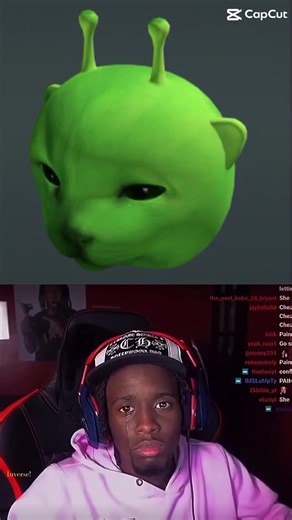 Exploring the Alien Cat Adventure in Roblox