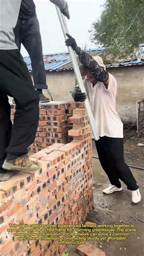 3 Farmers Build Greenhouse in 10 Minutes! 🌾 Low-Cost DIY Farming Hack