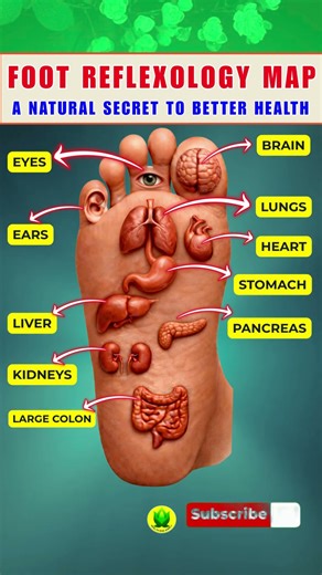 Foot Reflexology Map | A Natural Secret to Better Health #healthylifestyle