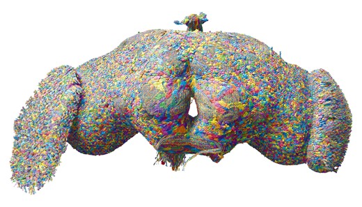 Researchers simulate an entire fly brain on a laptop. Is a human brain next? - Berkeley News