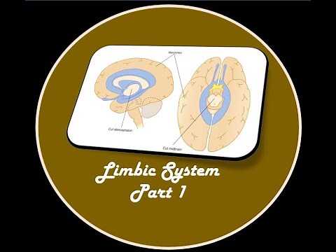 LIMBIC SYSTEM PART 1