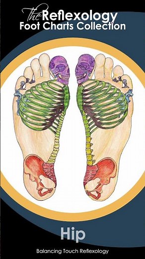 The Visual Reflexology Series: Step into the Foot’s Skeleton #balancingtouchreflexology #reflexology