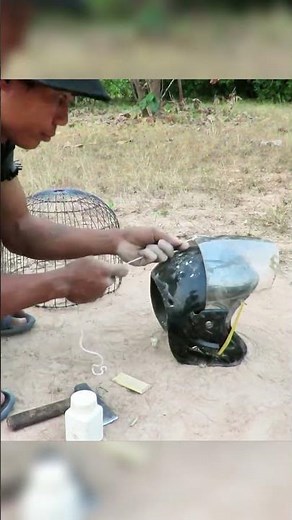 Creative Bird Trap Built from Helmet with Cage | Primitive Survival Skills & Pigeon Trap Technique 🪶