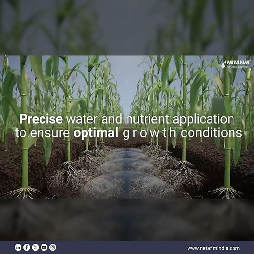 Landscapes with our SDI, Subsurface Drip Irrigation