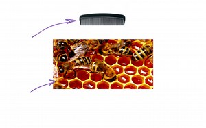 Grade 4 Unit 7 Lesson 7 Fractions And Line Plots | Educreations