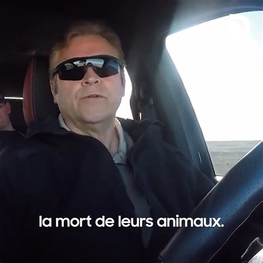 Des animaux ont disparu mystérieusement de ce ranch aux Etats-Unis : un coup des extraterrestres ? 👽 | Discovery France