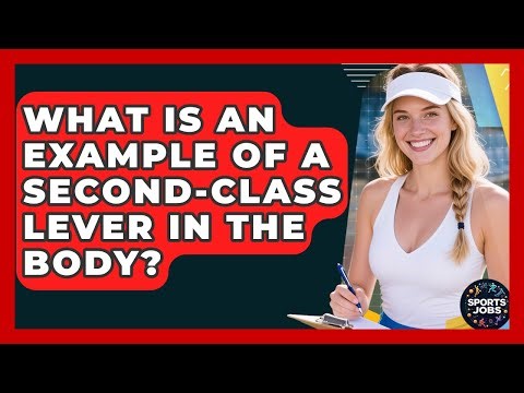 What Is An Example Of A Second-class Lever In The Body? - Sports Jobs