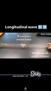 196K views · 790 reactions | A longitudinal wave is a wave in which...