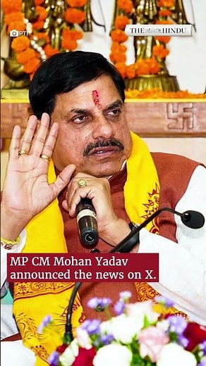 In a first, an Indian-born cheetah gives birth to five cubs at Kuno National Park