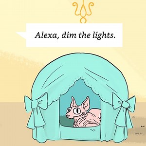 951K views · 1.7K reactions | Simplify your life with smart home devices and Alexa. Shop Alexa Smart Home Deals Now. | Amazon Alexa | Facebook