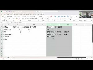L2 Linear Programming 1st application in excel