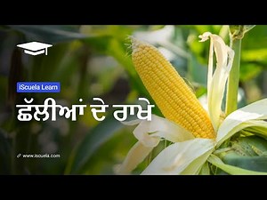 PB | Class 8 | Punjabi | Chapter 20 | Chalian De Rakhe (PSEB)