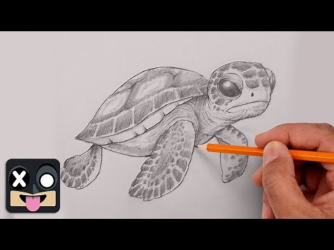 How To Draw a Sea Turtle | Sketch Tutorial