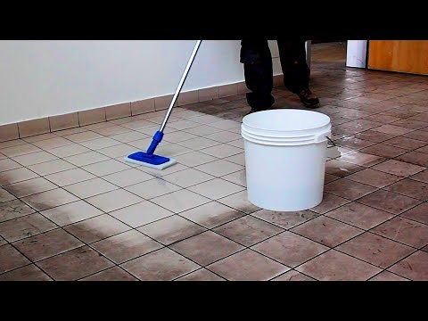 TILE CLEANER - How To Clean + Tips
