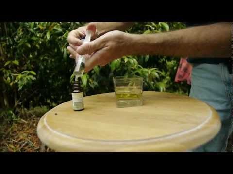 How to Make Essential Oils | Essentially Australia