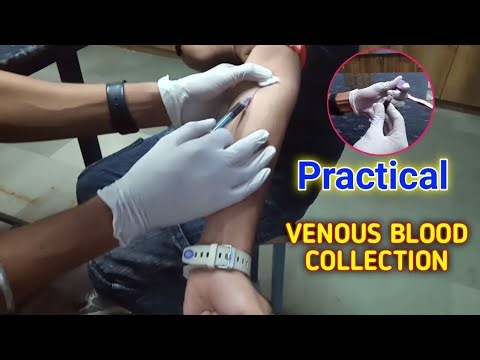 👉🏻Venous Blood Collection Procedure | Step-by-Step Explanation for BMLT & DMLT Students