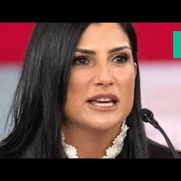 Dana Loesch For NRA: 'Media Love Mass Shootings'
