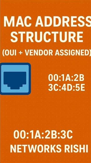 MAC Address Structure Explained in 60 Sec CCNA Shorts #ccna #networking #macaddress #networksrishi