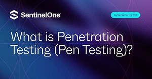 What is Penetration Testing (Pen Testing)?