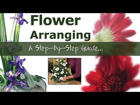 Flower Arranging | A Step by Step Guide
