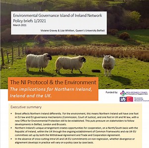 Policy briefs: sharp, policy-facing analysis - Brexit & Environment