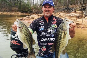 Differentiating Alabama Bass from Spotted Bass - In-Fisherman