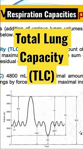 Total Lung Capacity (TLC) Explained: What It Is, How to Measure It, and Why It Matters