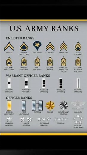 United States Army Rank Chart Reference Enlisted Officer NCO Guide American Military #usa #military