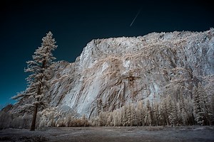 What Camera Should You Convert to Infrared?