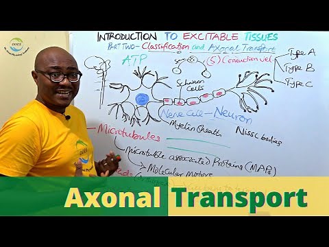 Classification of Nerves| Axonal Transport