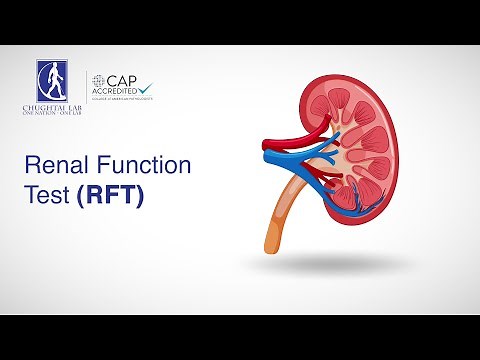 Renal Function Test (RFT)