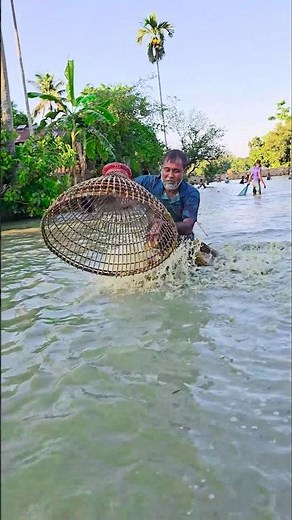 Wow! Amazing Polo Fishing Videos ! Best Big Fish Catching ! Primitive Technique fishing #fish #india