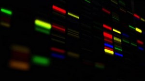 clip-3585370757-dna-sequencing-animation-colorful-bands-letters-over