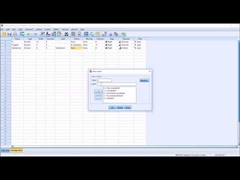 Entering Likert Scale Data into SPSS