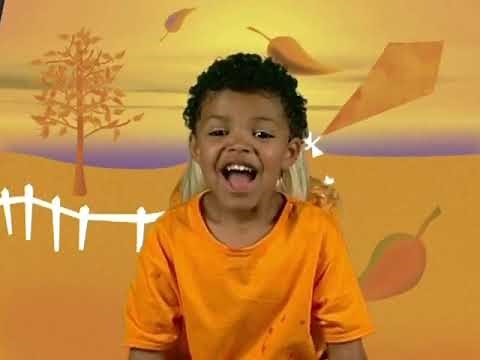 Baby Einstein: Baby Van Gogh's World of Colors (Reversed)