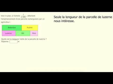 Utilisation d'une échelle pour calculer des dimensions réelles