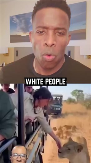 Why Petting Lions During Safaris Is Dangerous