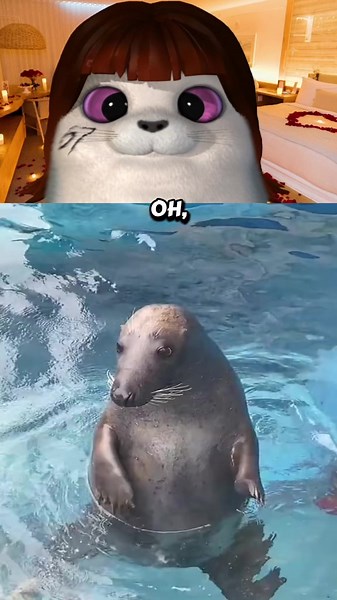 Seal spotted: is that a seal? quick ID and facts