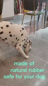 Dog Treat Ball and Toy, Interactive - Pack of 2 (Green, Blue)