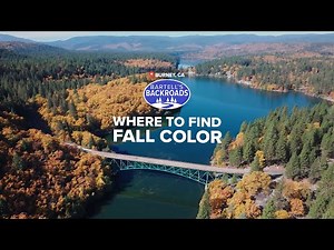 Hidden Fall Colors in NorCal: Discover Burney’s Brilliant Autumn Secret | Bartell's Backroads