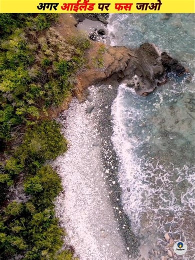 If you get stranded on an island #viral