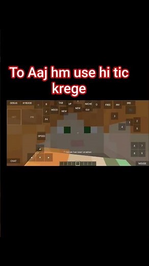 fully freecam mod settings #minecraft #freecam