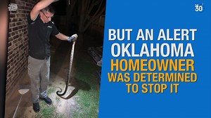 The 30: 7-foot snake tries to slither into Oklahoma home! 🐍 | News 12 Connecticut