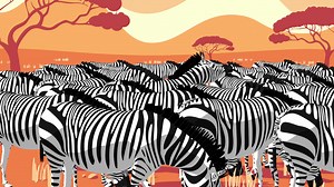 Welcome to a different kind of rewards program, with more ways to earn points and more ways to use them. | American Express