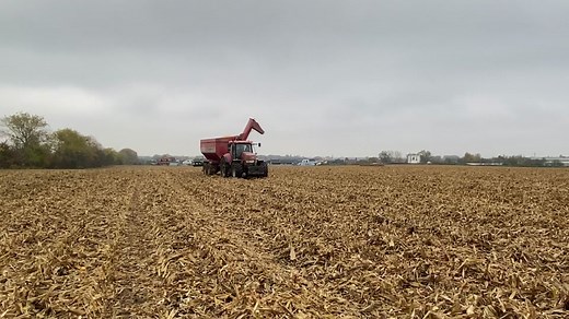 Admiring the Powerful Sound of Case IH Puma CVX in Action