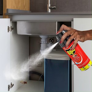 Cleaning out cupboards or dark spaces? Prevent roaches from jumping out at you with Raid Multi Insect Killer. One spray kills flying insects on contact. | Raid