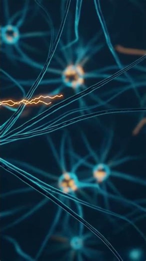 Explore the Human Body Like Never Before! #shorts #3dbody #bodycare#3danatomy #science #viral #facts