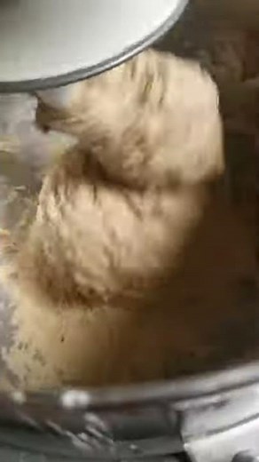 MIxing Sprouted Bread dough with my Kitchenaid MIxer